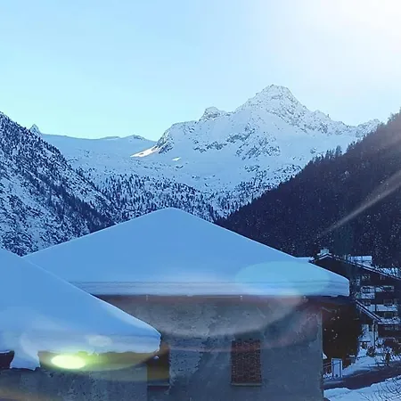 Shredhouse4